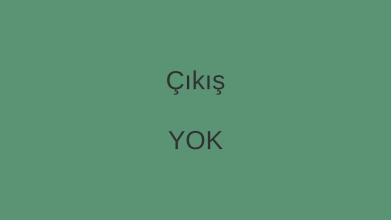 Çıkış yok截图3