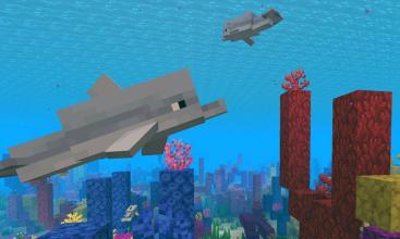 Dolphin Addon For MCPE截图2