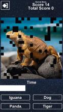 Guess The Animal - English - Free Learning Game截图5