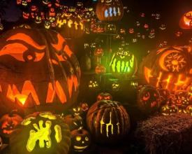 Halloween Mystical Jigsaw Puzzle截图1