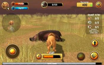 Wild Lion Simulator 3D截图3