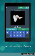 Guess Strain Name Of Guppy Fish截图1