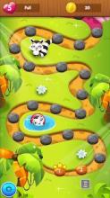 Bubble Shooter Racoon截图3