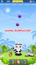 Bubble Shooter Racoon截图1