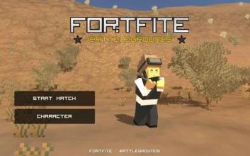 FORTFITE - BATTELGROUND截图2