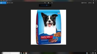 Name That Dog Food.截图5