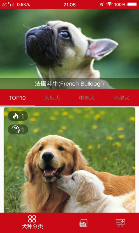 狗狗百科大全截图1