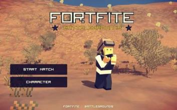 FORTFITE - BATTELGROUND截图1