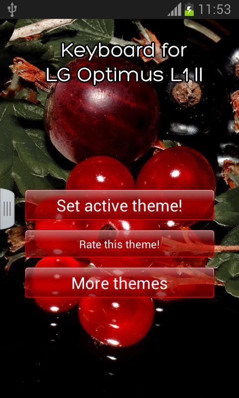 Keyboard for LG Optimus L1 II截图3