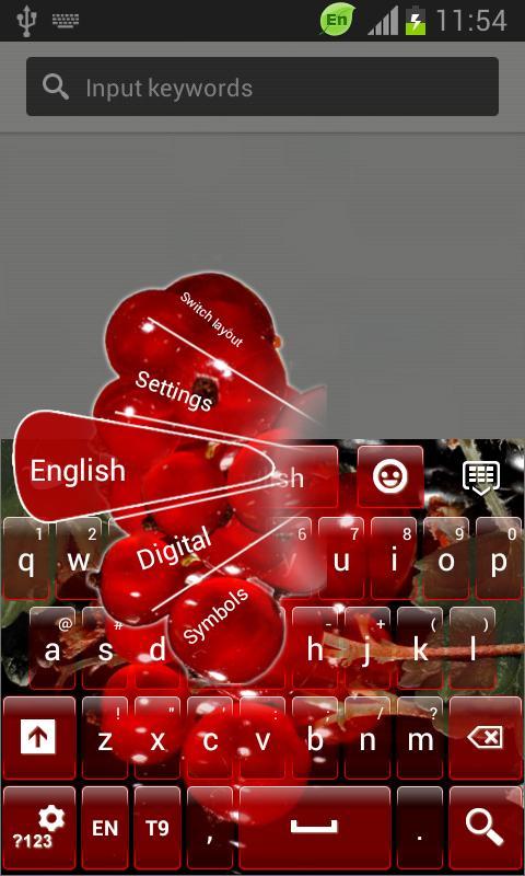 Keyboard for LG Optimus L1 II截图2