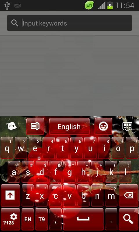 Keyboard for LG Optimus L1 II截图1