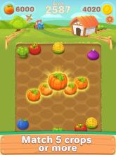 Crop Crops: Match 5 Game截图2