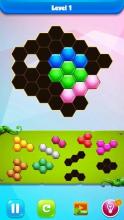 Hexagon Puzzle Block截图4