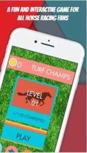 Turf Champs截图4