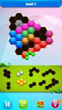 Hexagon Puzzle Block截图3