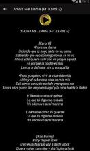 Musica de bad bunny - Amorfoda Letras All song截图2