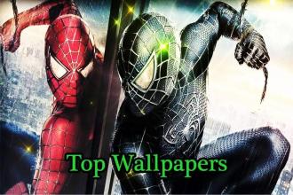 Spiderman heroes Wallpaper HD截图1