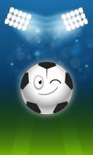 Soccer Expert截图1