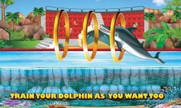 Sea Dolphin Pool Show: Animal Ocean Simulator*截图1