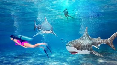 Shark 3D Hunting Games 2018截图5