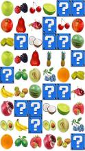 Kids Brain game Picture Match截图4