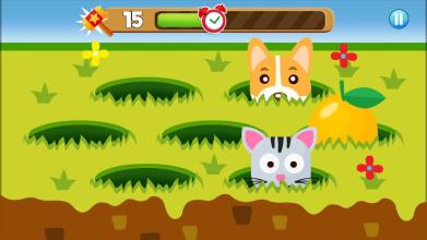 Kids Catch : Animals截图3