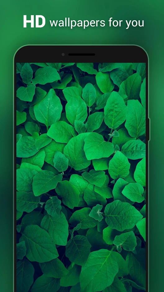 Apex Wallpaper截图2