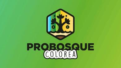 Probosque - Colorea截图4