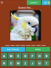 Animals Quiz Jungle截图5