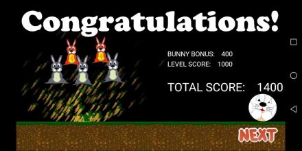 Running Bunny Escape Revenge!截图3
