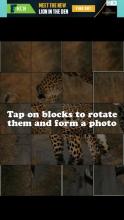 Animal Photo Puzzle截图5