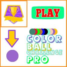 Color Ball Challenge Pro Game截图5