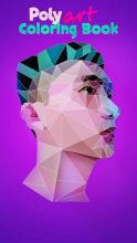 Low Poly Art - Coloring Book Jigsaw Puzzle截图5