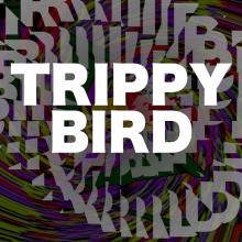 Trippy Bird Extreme截图4