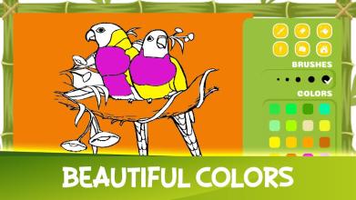 Book Coloring Bird For Kid截图3