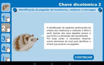 Investigar as pegadas dos animais截图3