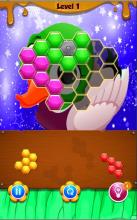 Duck Hexagon Block Puzzle截图4