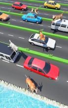 Animal Pets Traffic Highway Cross截图4