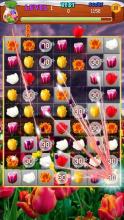 Tulip Flowers Blast - Best Flower Crush Game截图5