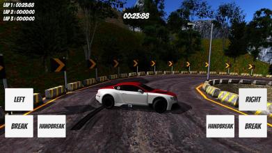 Rally Challenge截图4