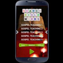 Search Bible Words截图5