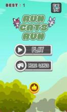 Run Cats Run截图4