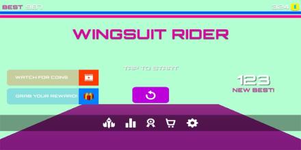 Wing Rider截图2