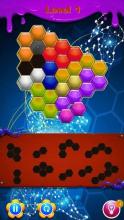 Hexa Puzzle Series截图5