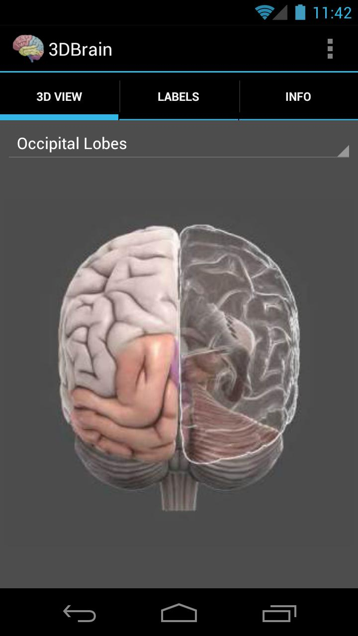 3D大脑截图1