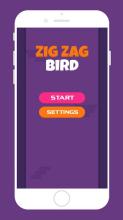 Zig Zag Bird截图3