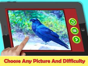 Animal And Birds Jigsaw Puzzles截图2