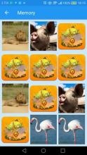 Animal Sounds and Games截图1