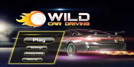 Wild Car driving截图4