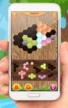 Wood Block Puzzle Classic Pro截图2